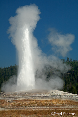 Yellowstone NP Old Faithful